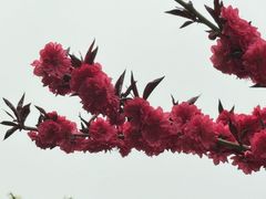 -月坛公园