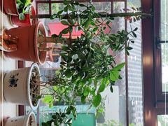 -伊隆斋(什刹海店)