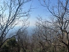 -紫金山山顶公园