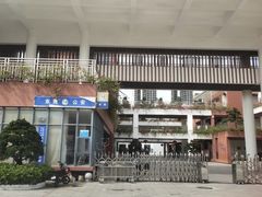 -莞城建设小学