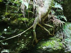 -溪口-滕头旅游景区