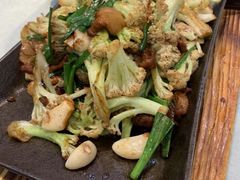 -邵年鸽(杨庄店)