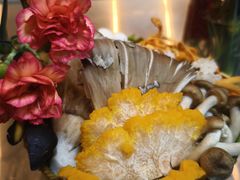 -后院烤吧·木炭烧烤·烤鱼·云贵川火锅(忻州古城店)