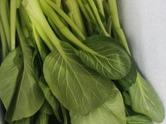 -友谊阳光城