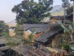 -杨家堂村