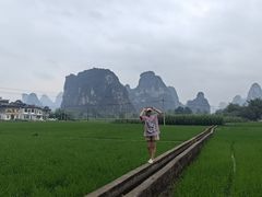 -明仕田园