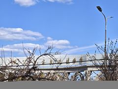 -黑龙江省森林植物园