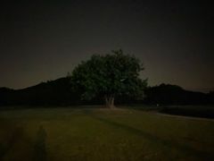 -艾米稻香小镇