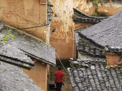 -杨家堂村