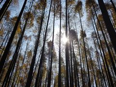 -山王坪喀斯特国家生态公园