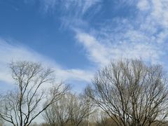 -野鸭湖国家湿地公园