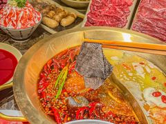 -小龙坎火锅(泉舜店)