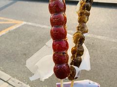 -和禄德冰糖葫芦