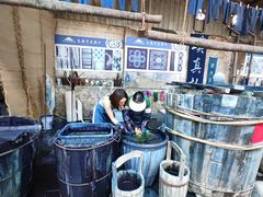 -璞真扎染博物馆