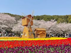 -苏州上方山国家森林公园