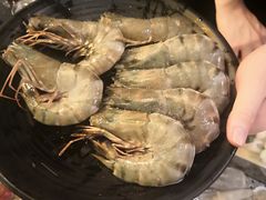 -熊出没日本烧肉放题