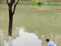 -怡海公园(桂城街道)