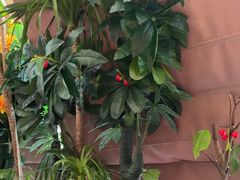 -桂满陇·蟹黄小笼汤包(清河万象店)