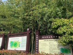 -大蜀山国家森林公园