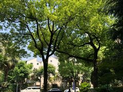 -汾阳花园酒店·餐厅(徐汇店)