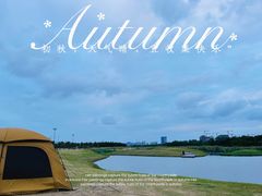 -春花秋色城市公园