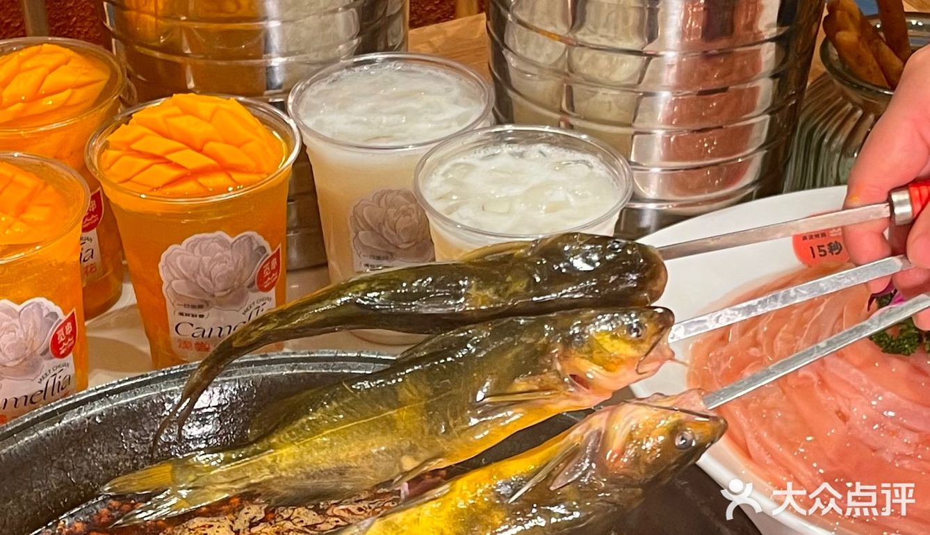 春天到来山茶花开🍃好配辣辣的火锅串串‼️