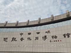 -中国西峡恐龙遗迹园