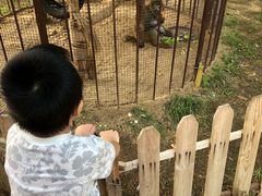 -北戴河集发农业梦想王国