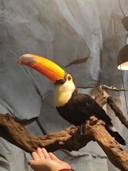 -Zoolung Zoolung动物主题公园(海信广场店)