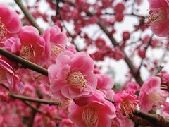 -重庆彩云湖湿地公园