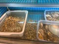 -华府九号海鲜烧烤大排档(龙域店)
