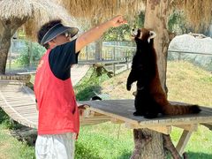 -水上乐园·欢乐世界