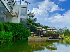 -厦门园林植物园-植物园滴水山房