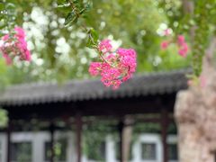 -莫愁湖公园