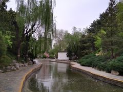 -团结湖公园