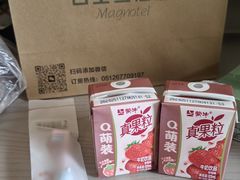 -白玉兰苏州观前街平江路酒店