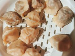 -百饺园(平山道店)