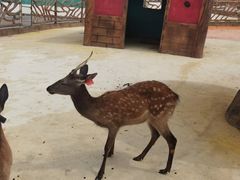 -白鹿原影视城