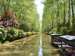 -合肥滨湖国家森林公园