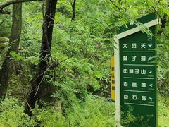 -南京老山国家森林公园