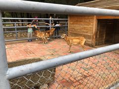 -长白岛森林公园