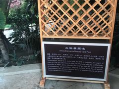 -国信南山温泉