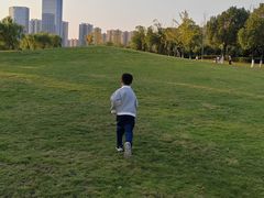 -洋湖国家湿地公园