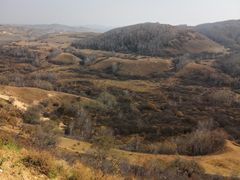 -塞罕坝国家级自然保护区