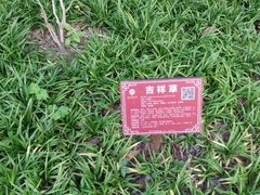 -广西壮族自治区药用植物园