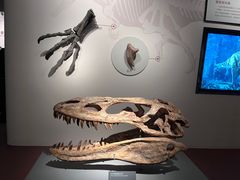 -自贡恐龙博物馆