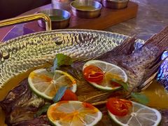 -Hi City·城市之巅