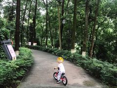 -翠屏公园