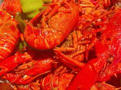 经典十三香龙虾-红盔甲·小龙虾(天钥桥店)
