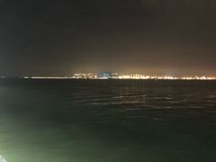 -演武大桥观景平台